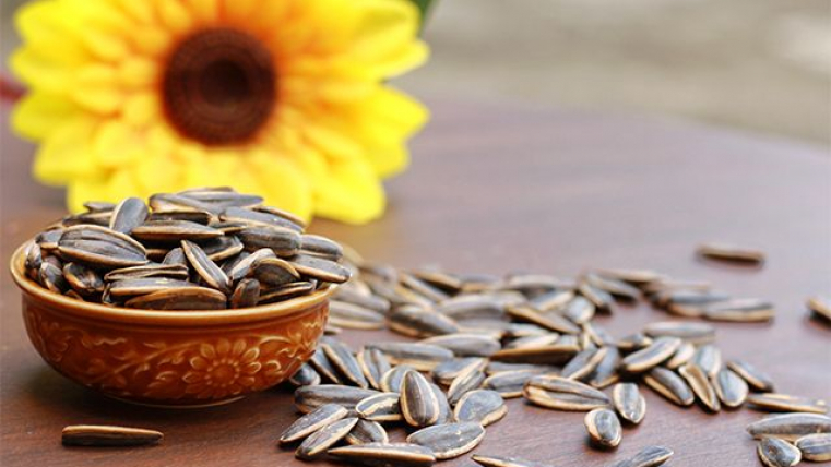 Good news for seed lovers! Scientists told about the benefits of the product