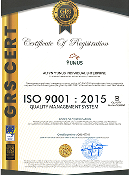 ISO 9001