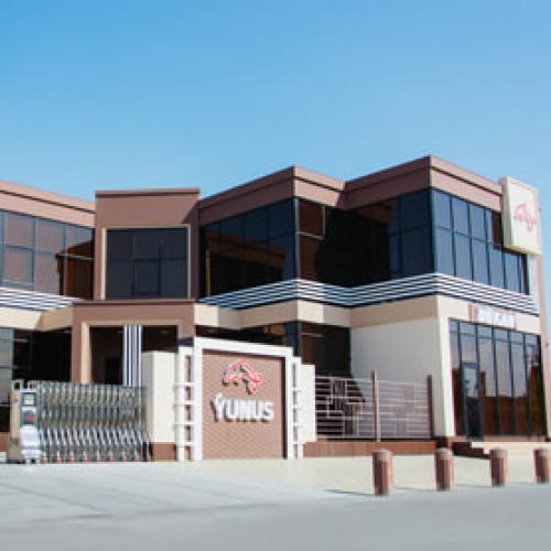 Factory in Mary